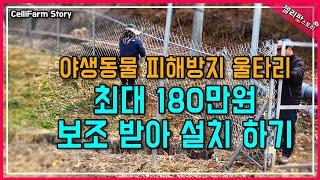 180만원 보조 받아서 울타리 설치 가장 저렴한 업체에서 시공했어요 #첼리팜스토리