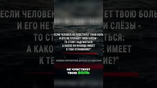 Два плеча, на которые можно опереться #Крылатыефразы#афоризм #афоризмы #крылатые фразы #мудрые слова