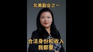 北美副业之主动收入和被动收入