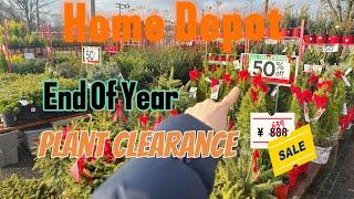 HOME DEPOT End Of The Year Plant CLEARANCE SALE! December 2024 Inventory.