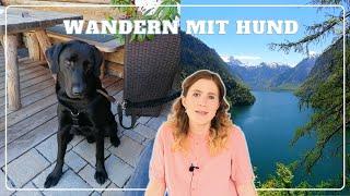 Urlaub in Bayern mit Hund   Chiemsee, Königssee, Tiroler Ache, Wandern zur Taubenseehütte