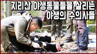 (꼭보세요...강추...) 지리산 야생동물 의료센터의 수의사들 (KBS_2018.11.25 방송)