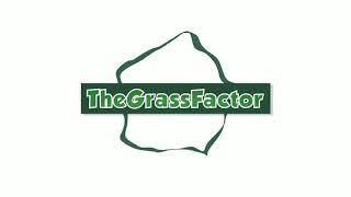 DISEASE or DROUGHT STRESS in TALL FESCUE? - The Grass Factor