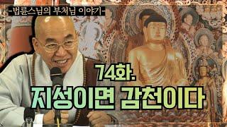 [법륜스님의 부처님 이야기] 74. 지성이면 감천이다