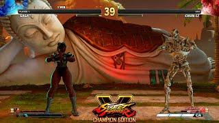 Street Fighter V CE Sagat vs Chun Li PC Mod