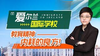 老移民家长的真实感悟，爱尔兰优异的国际学校治愈了我对子女教育的精神内耗！