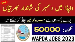 Wapda Jobs 2023 online apply || Latest Government Jobs 2023 || Sarkari Job || Pak Jobs Ghazi