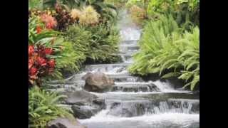 New Hope 15