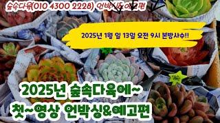 숲속다욱 방송전 언박싱 미리보기2025년 1월 13일오전9시