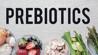 Prebiotics | Food for your Microbiome