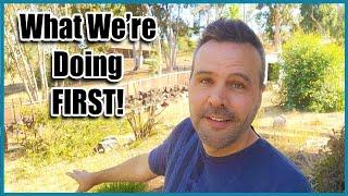 What I'm Doing First - 1st Official Video for Our New Homestead Channel