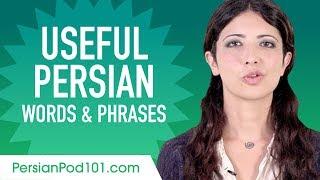 Useful Persian Words & Phrases to Speak Like a Native