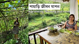 || Mountain village lifestyle || Daily life in Mountain || উত্তর বঙ্গের পাহাড়ের সাধারণ জীবন যাপন ||