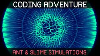 Coding Adventure: Ant and Slime Simulations