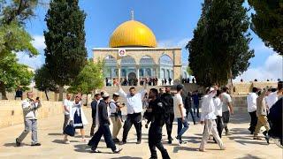 JERUSALEM Al AQSA MOSQUE FRIDAY {JUMMAH } PRAYER ||نفل شعائر صلاة الجمعة فی المسجد الاقصی المبارک