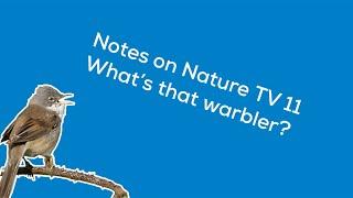 Notes on Nature TV 11: Beginner's guide to warblers