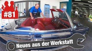 230 SL Pagode von `66: Das Schätzchen braucht etwas Fürsorge!