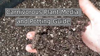 Media and Potting for Carnivorous Plants - Guide