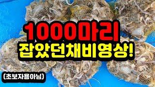 주꾸미 1000마리잡았던채비법입니다!