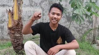Paket C Pilihanku, Hobiku jalan hidupku