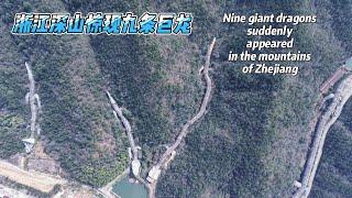 Nine giant dragons found in the mountains of Zhejiang, China