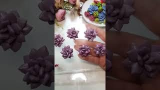 Суккуленты как настоящие