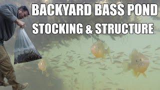 Backyard Bass Pond - Stocking Minnows and Adding Structure