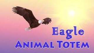 Eagle Animal Totem - Eagle Spirit Animal Meaning, Symbolism, Dream of the Eagle Totem