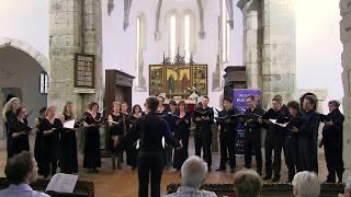 Musica Barcensis 2017 -  Vocalensemble Würzburg - Wilhelm Schmidts