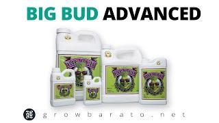 BIG BUD Liquid de Advanced Nutrients Estimula tu floración | Growbarato - GB The Green Brand