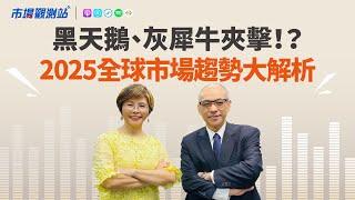 掠龜走鱉！？市場捉摸不定 黑天鵝、灰犀牛夾擊！？2025年全球市場趨勢大解析｜主持人陳碧芬 feat.台新投信董事長鄭貞茂 【#市場觀測站Podcast EP102】CC字幕 @cteevideo