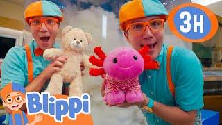 Blippi BUILDS A Bear BEST FRIEND! + More |  Blippi and Meekah Best Friend Adventures