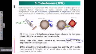 Interferon cancer