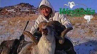 Karaganda Argali Hunt with Maral and siberian Ibex in Kazakhstan- Nostalgy Hunting Clip