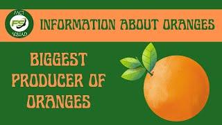 INFORMATION ABOUT ORANGES | ORANGE FRUIT FACTS | BIGGEST ORANGE PRODUCERS | ORANGE FRUIT