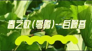 《春之歌》Song of spring#白噪音#休閒#放鬆#瑜伽#學習音樂#工作音樂#30分鐘#White noise#30 minutes#Relax#Leisure