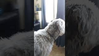 Did you say outside? #Shorts
