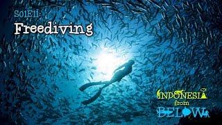 Freediving in Bali [4K] | Indonesia from Below (S01E11) | SZtv