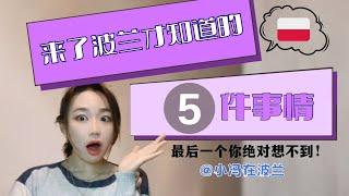 来了波兰才知道的5件事！最后一个你绝对不知道！