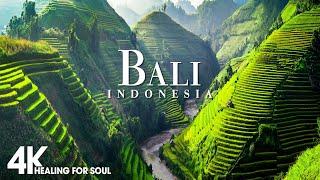 Bali 4K - Scenic Relaxation Film with Calming Cinematic Music - Amazing Nature