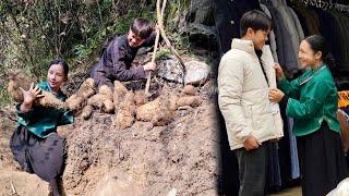 Mai dug up wild roots to sell to buy clothes for the most handsome boyfriend in the village - Farm