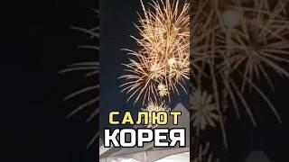 КОРЕЯ. Салют #корея #shortvideo #shortsvideo #shorts #short #салют #праздники #кордаркорея