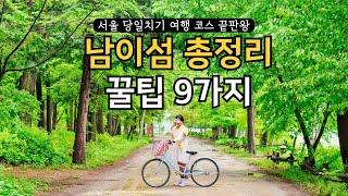 춘천 남이섬 여행 코스 이거 하나만 보고 가세요 서울 근교 당일치기 데이트 (남이섬 놀거리, 자전거, 짚라인, 동선 nami island trip)