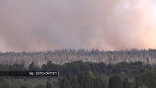Пожар в «Заповедной Мордовии»