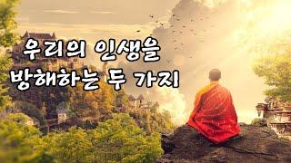 매일 듣다보면 당신의 삶을 바꿔 줄 석가모니 명언들/인생조언