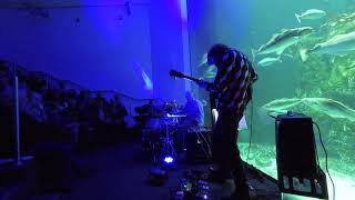 Fauna (Haefner/Rabe/Merk) Oryx - Live@Wattforum St.Peter Ording/Toenning