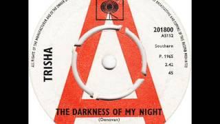 Trisha - the Darkness of My Night  (1965) female folk/pop