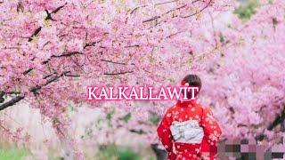 Kalkallawit with Lyrics Ilocano Song | Jemaron