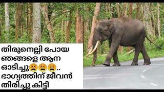 തിരുനെല്ലി പോയ ഞങ്ങളെ ആന ഓടിച്ചു |Elephant Attack | wayanad thirunelli|#adamsworldachuttan