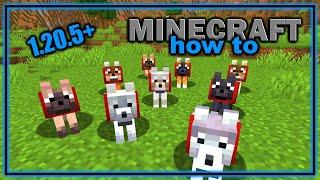 Everything About the Wolf in Minecraft! (1.20.5+) | Easy Minecraft Tutorial